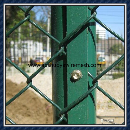 PVC Galvanized Welded Wire Mesh Chain Link Fence for Playground