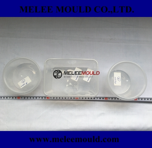 Plastic Injection Thin Wall Mould