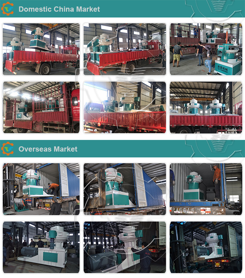 Small Ring Die Wood Sawdust Pellet Extruder Granulator for Sale