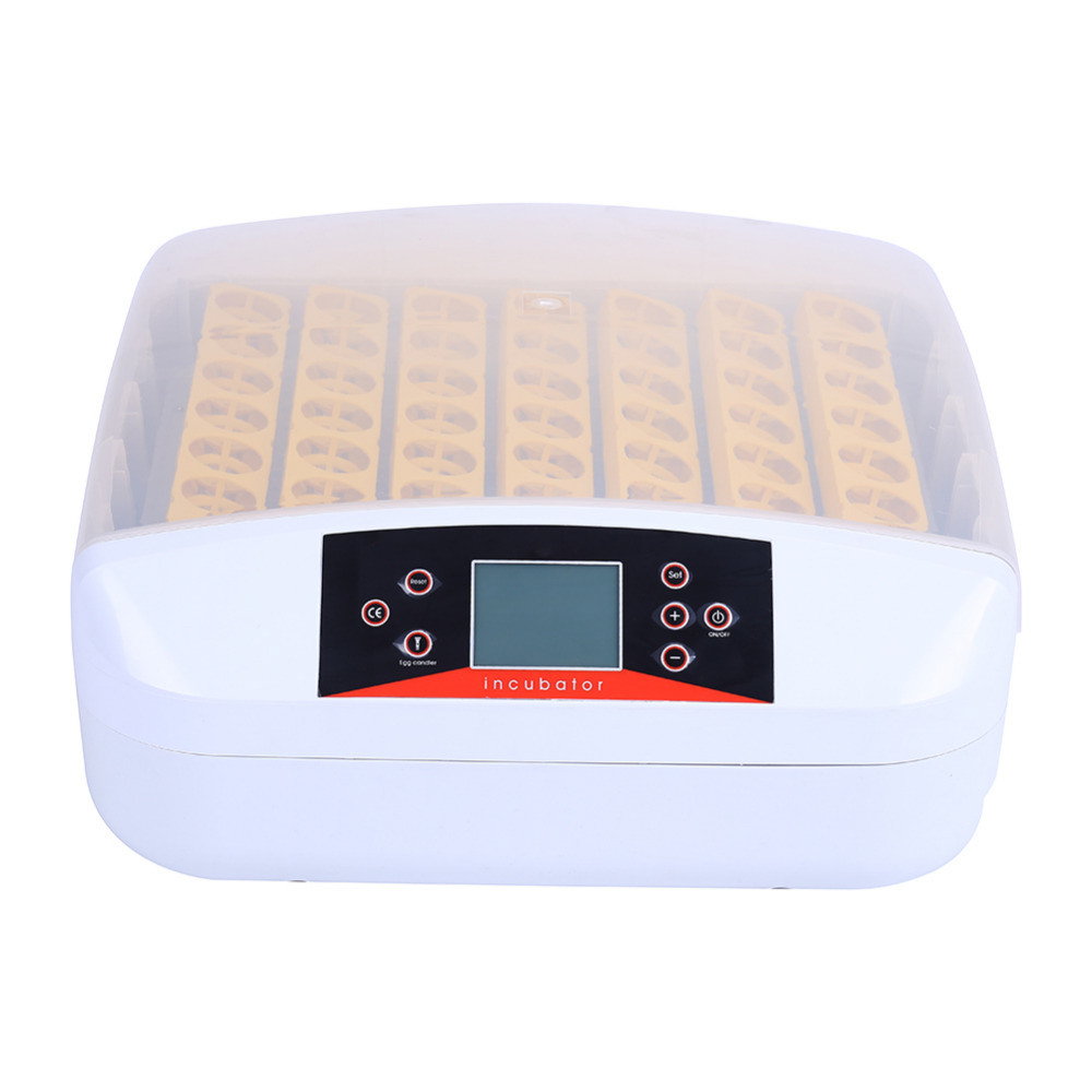 Hhd Automatic 56 Chicken Eggs Incubator with LED Light