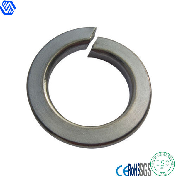 Stainless Steel 316 Flat Washer