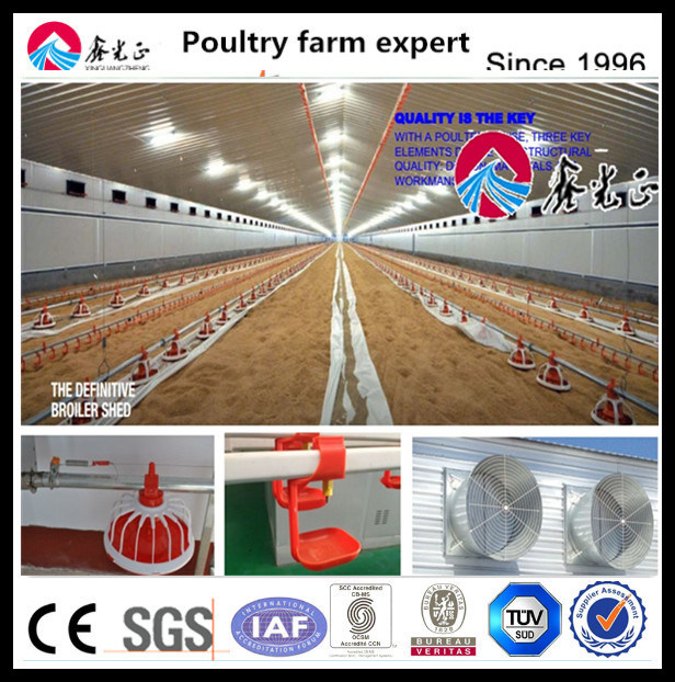 ABS Material Chicken Plastic Slat Flooring System