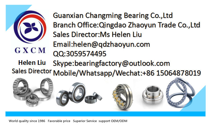 Automotive Truck 32221 (105X190X50) Tapered Roller Bearing