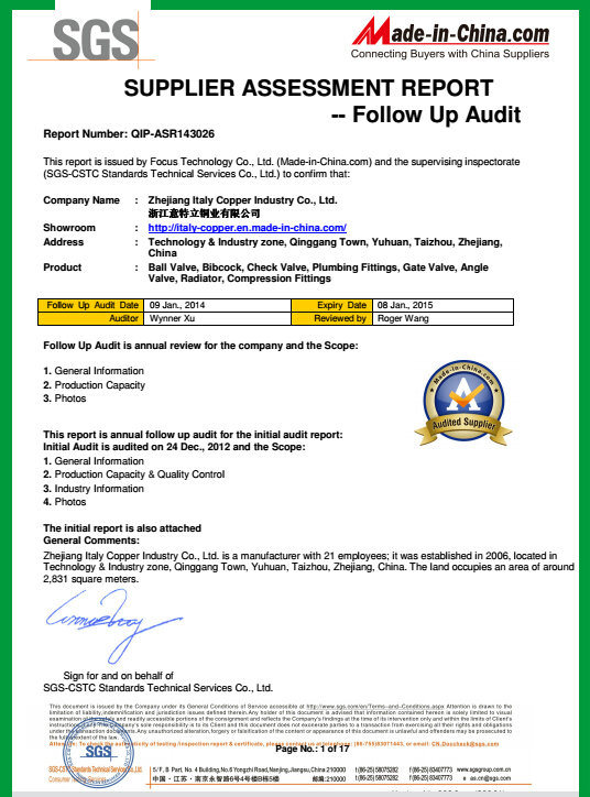 Ce Certified Quality Guarantee Brass Air Vent Ball Valve (IC-3067)