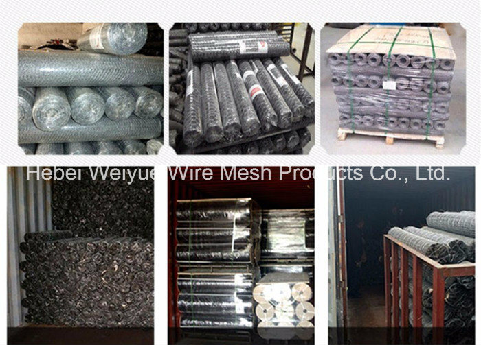 Hot Sale Galvanized Hexagonal Wire Mesh for Mesh Fence
