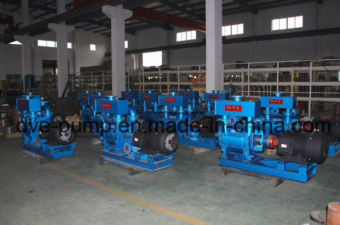Water Ring Pump Used for Vacuum Drying