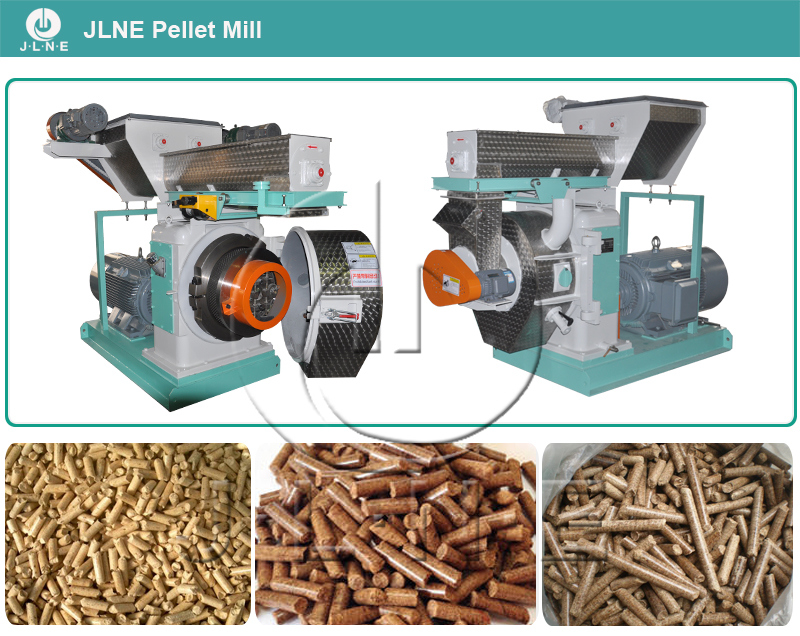 Top Manufacture Professional Pellet Press Biomass/Sawdust/Palm Pelletizer