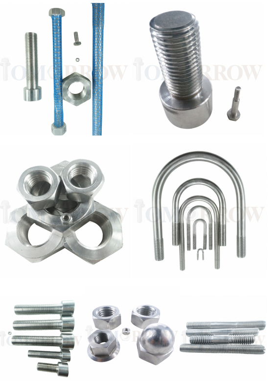 Hot Selling High Quality Stainless Steel 304/316 Hot Forged Big Size Hex Bolt/ Hex Nut/ Plain Washer/ Allen Bolt/ Thread Stud/ U-Bolt