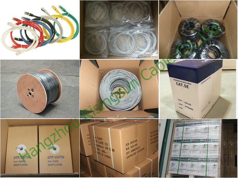 Network Cable/LAN Cable Indoor FTP CAT6A Cable
