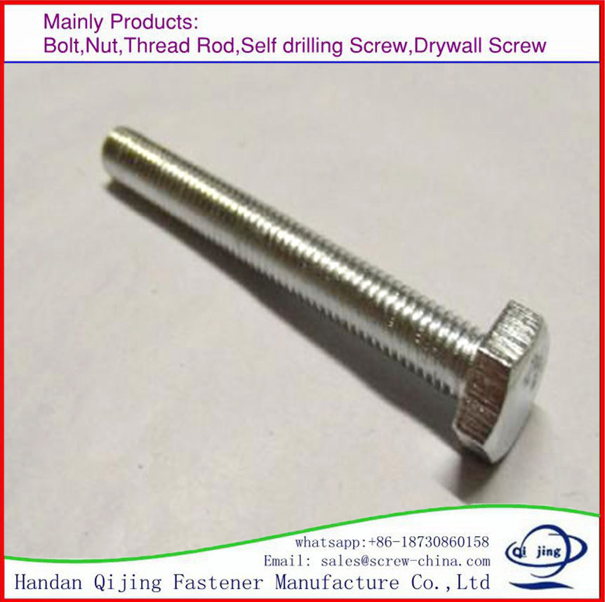 Galvanized Hexagon Hex Head Bolt with Nut