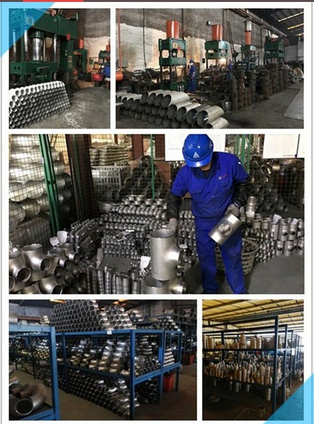 Stainless Steel Manufacturer Stainless Steel Pipe Fitting Butt Weld Bends Elbow