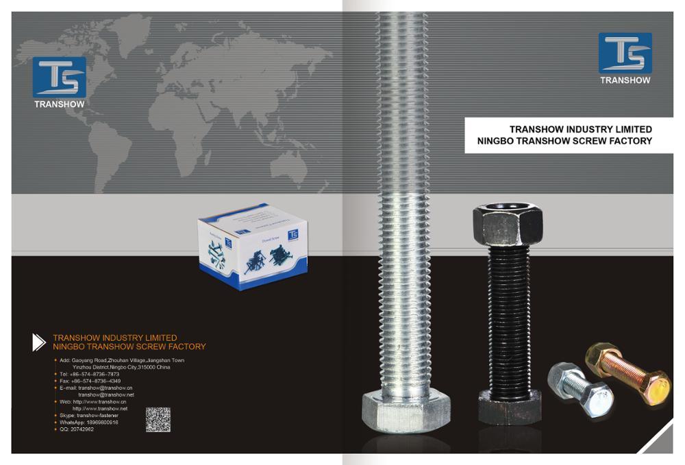 Transhow Supplier JIS1168 / DIN580 Lifting Eye Bolts