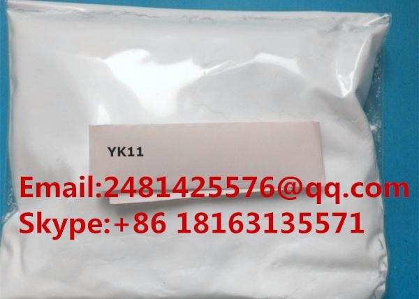 Bodybuilding Steroids Sarm Raw Powder Yk11/Yk-11 CAS 431579-34-9