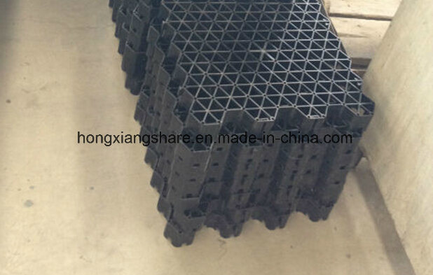 Plastic Grass Grid Used for Car Parking Lot Grass Protection