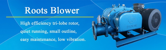 Dsr150V Rotary Roots Blower Roots Vacuum Pump Positive