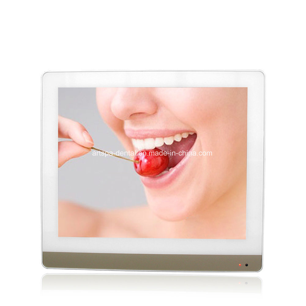 Wired 17 Inch LCD Monitor Dental Intraoral Camera Intra Oral Camera with WiFi