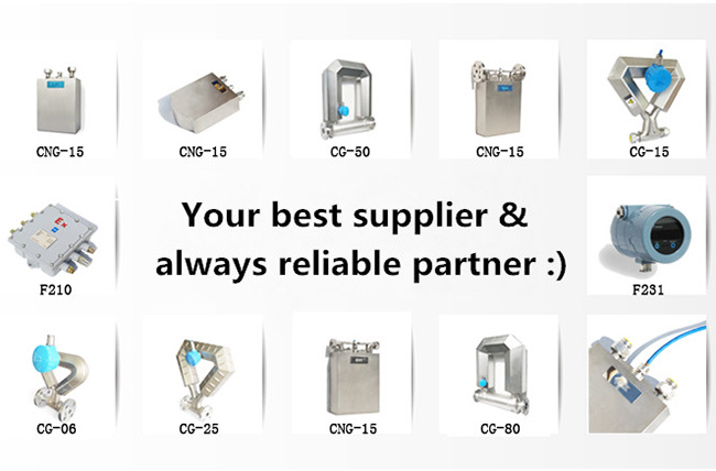 Hot Sell 2016 New Products Coriolis Mass Flow Meter