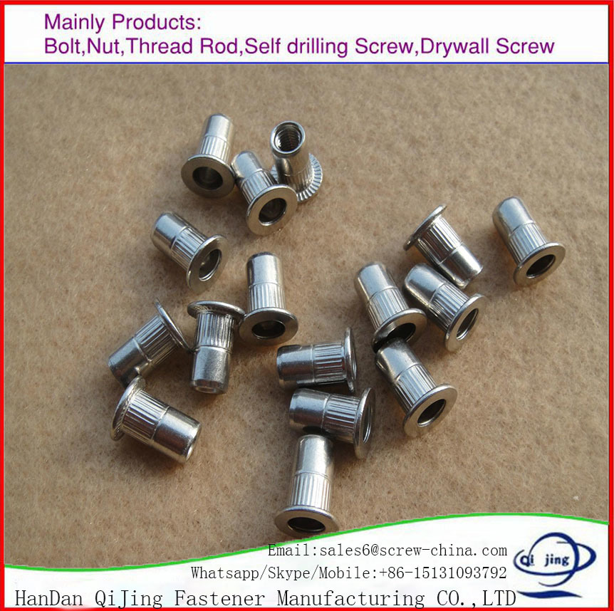 Flat Head Hexagon Rivet Nut Insert Nut/Rivet Nuts/Flat Head Open End Blind Rivet Nut