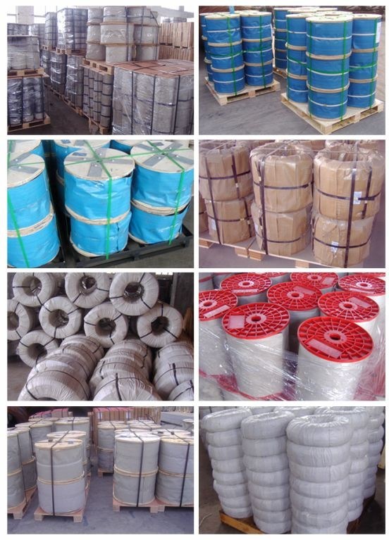 Galvanized Steel Wire Rope