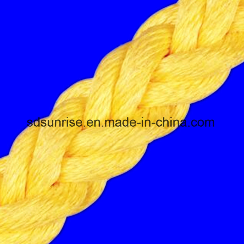 Nylon Multifilament Ropes Resist to Seawater