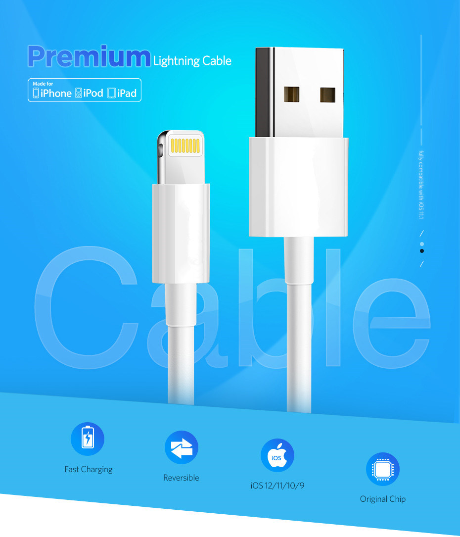 Wholesale Premium USB Charger Data Cable for iPhone X