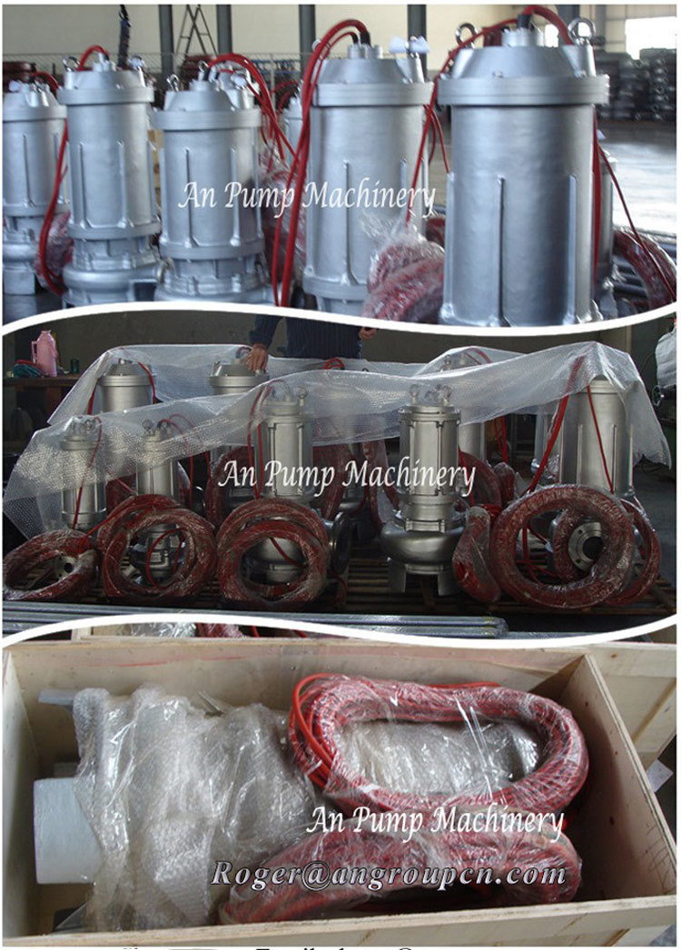 Stainless Steel Centrifugal Submersible Sewage and Waste Water Pump