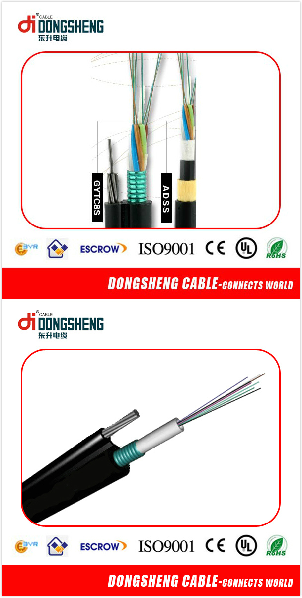 Indoor Fiber Optic Patch Cord/Patch Cable