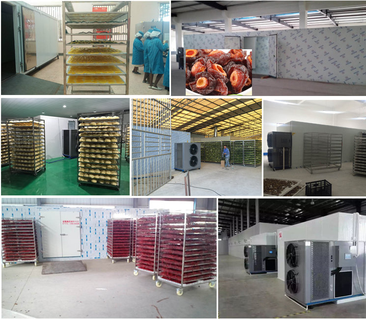 Heat Pump Technology Based Tray Dryer for Fruits