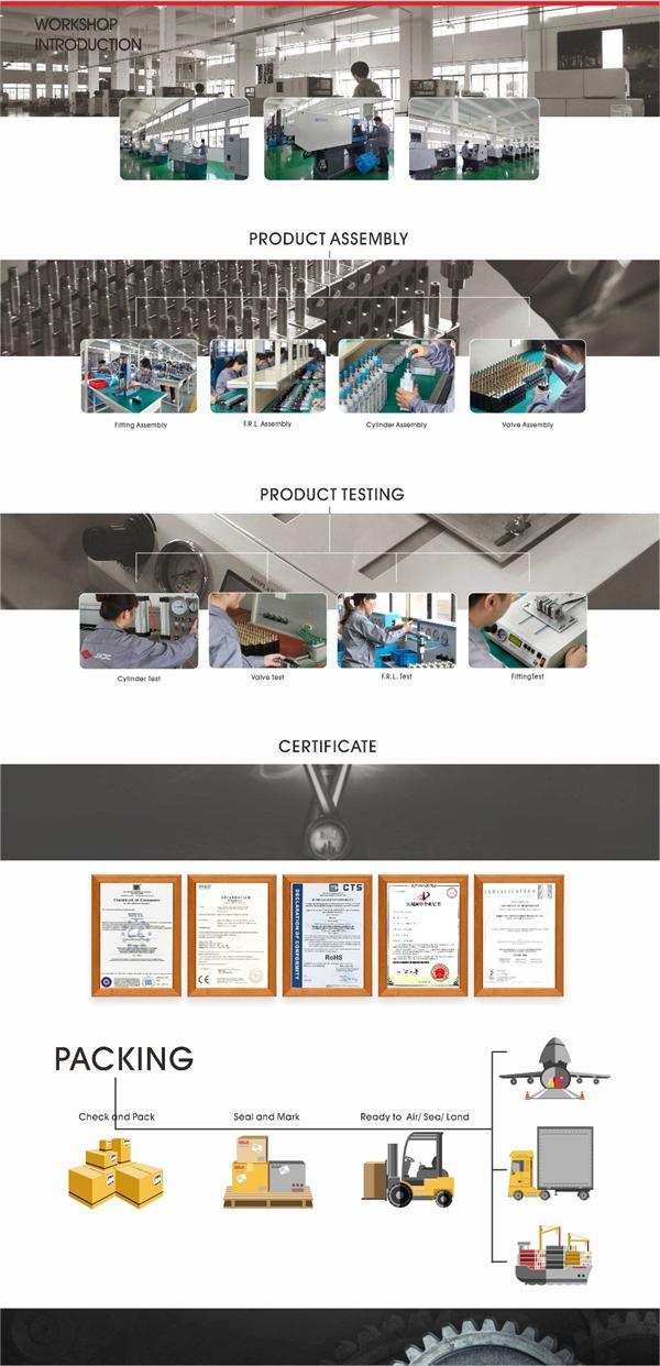 Pneumatic Manual Directional Control Valve