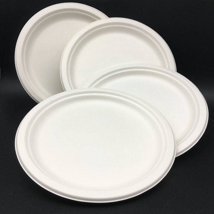 White Paper Round Sugarcane Plate for Christmas Party