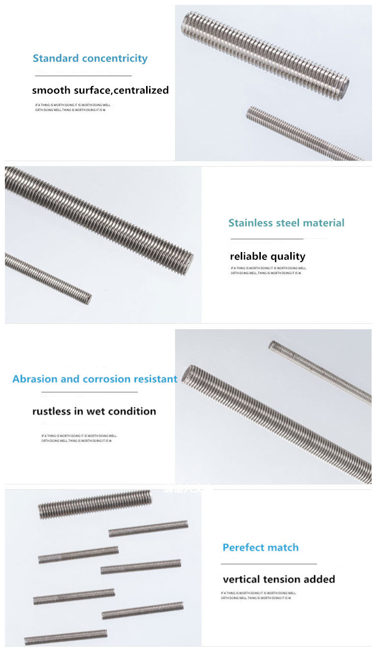 Stainless Steel 304 316 DIN975 DIN976 Thread Rod