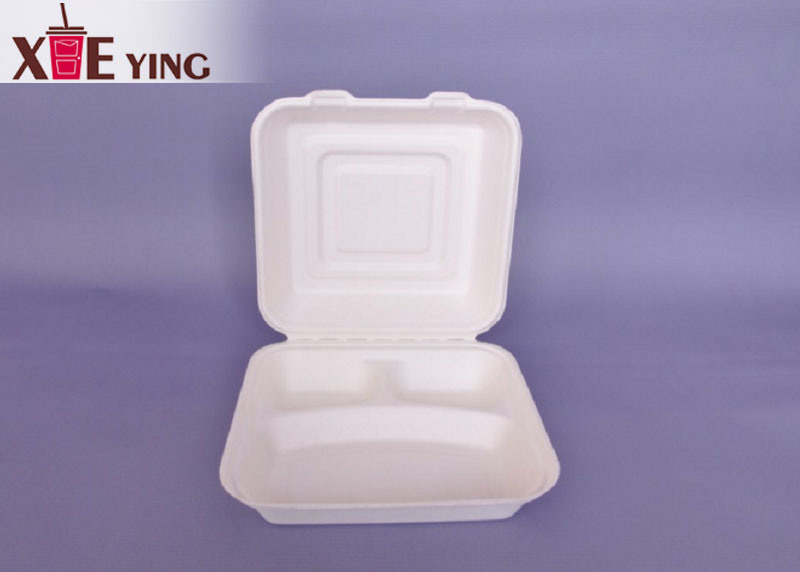 100% Biodegradable Disposable Microwave Food Container Five Compartment Paper Pulp Tray