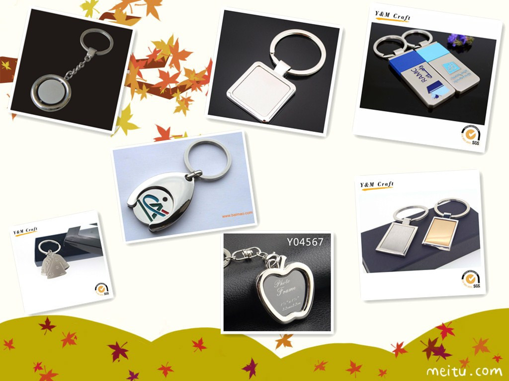 Promotional Gift Metal Key Chain with High Quality (Y02388)