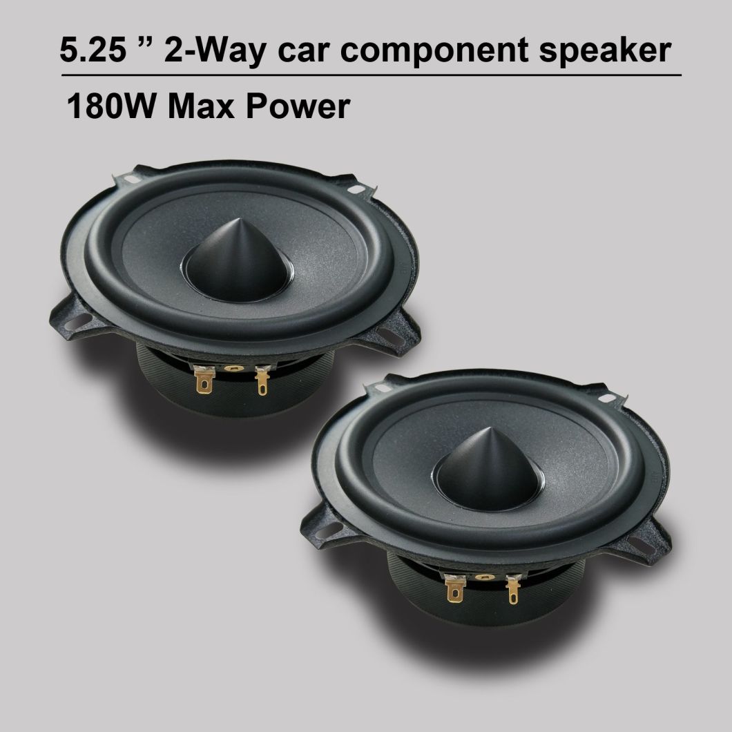 High Quality 5 Inch 2 Ways Speaker Accessories for Car