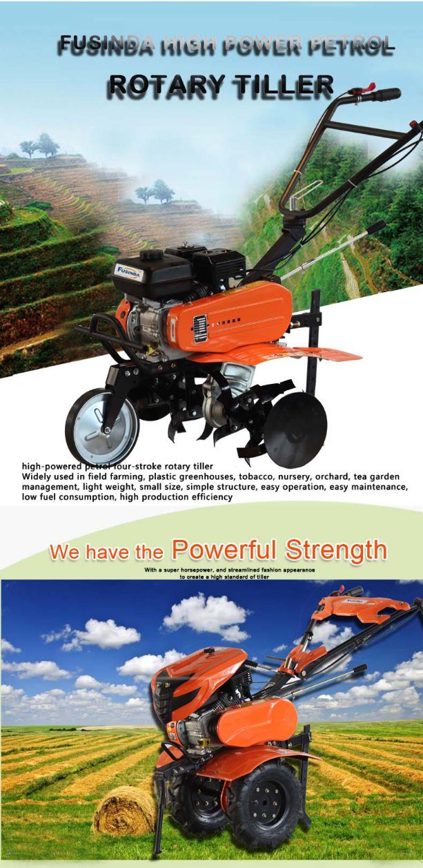 Mini Power Tiller with 7HP Gasoline Engine (FG750)