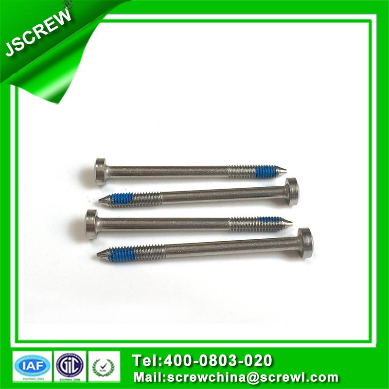 China High Quality M6 Good Fastener and Screw, Non Standard Anti-Theft Screw