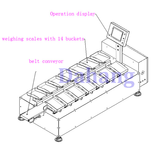 Leading Brand Automatic Weight Matching Machine for Seafood and Meat