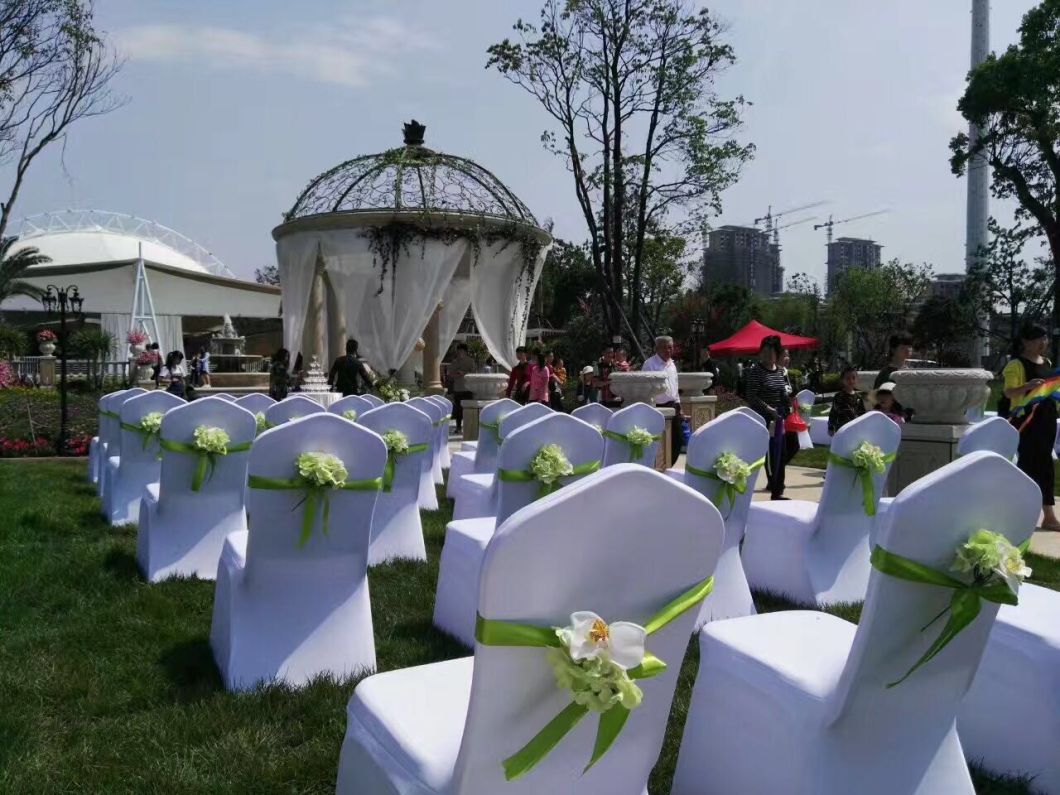 Classy Polyester Banquet Chair Covers