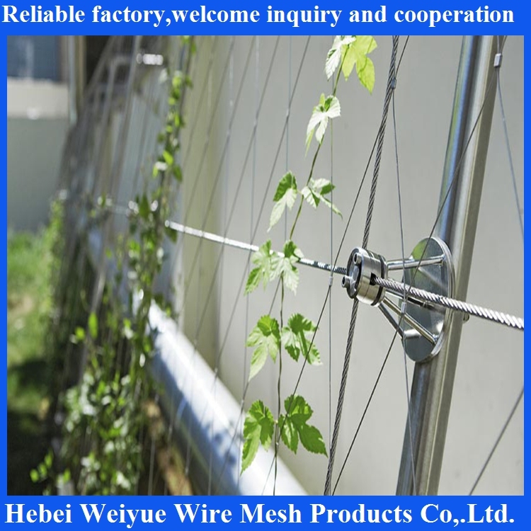 Stainless Steel Wire Rope Mesh Fence/Zoo Mesh Fence