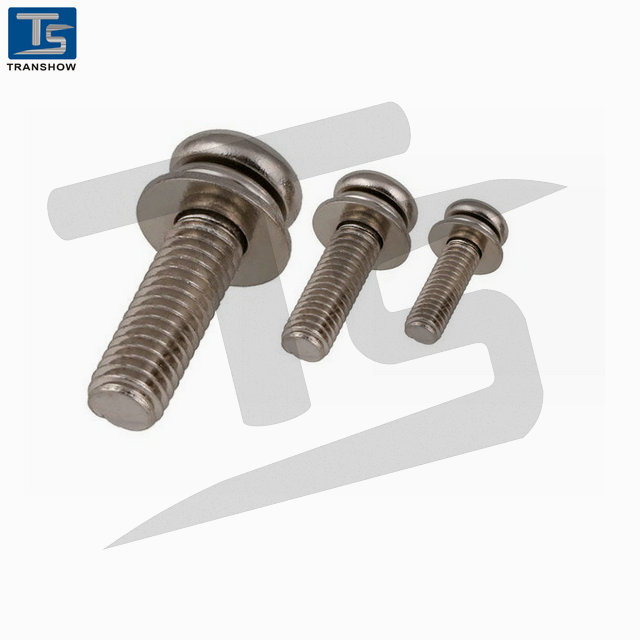 M2~M6 Ss Pan Head Machine Screws with Washers