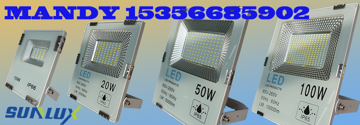 2018 New High Efficiency 6500K COB LED Floodlight (10W 20W 30W 50W 100W 150W 200W 250W 300W)
