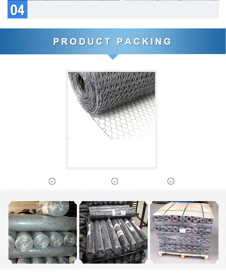 Chicken Wire Mesh/Galvanized & PVC Coated Hexagonal Wire Mesh