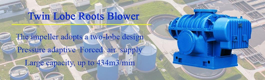 Ds-L Large Capacity Twin Lobe Air Roots Blower for Pneumatic Conveying with Ce and ISO9001