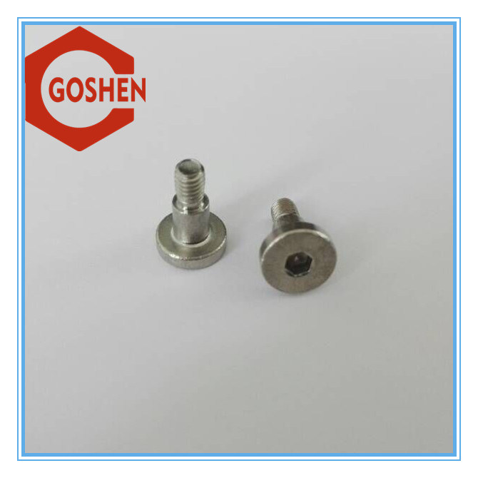 Variety Kinds of Stainless Steel Machine Screw