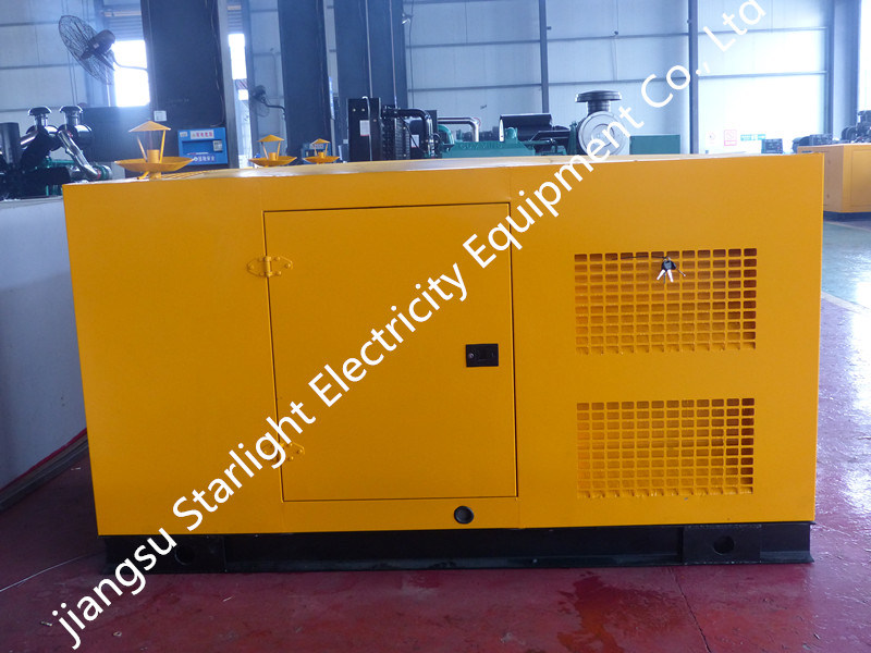 Ricardo 30 Kw Power Diesel Generator Set Ce/ISO Approval Silent Genset