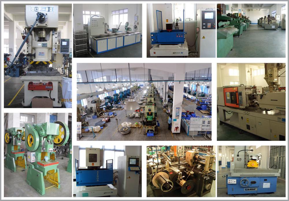 OEM Custom Precision Progressive Metal Stamping for Both Mold and Parts