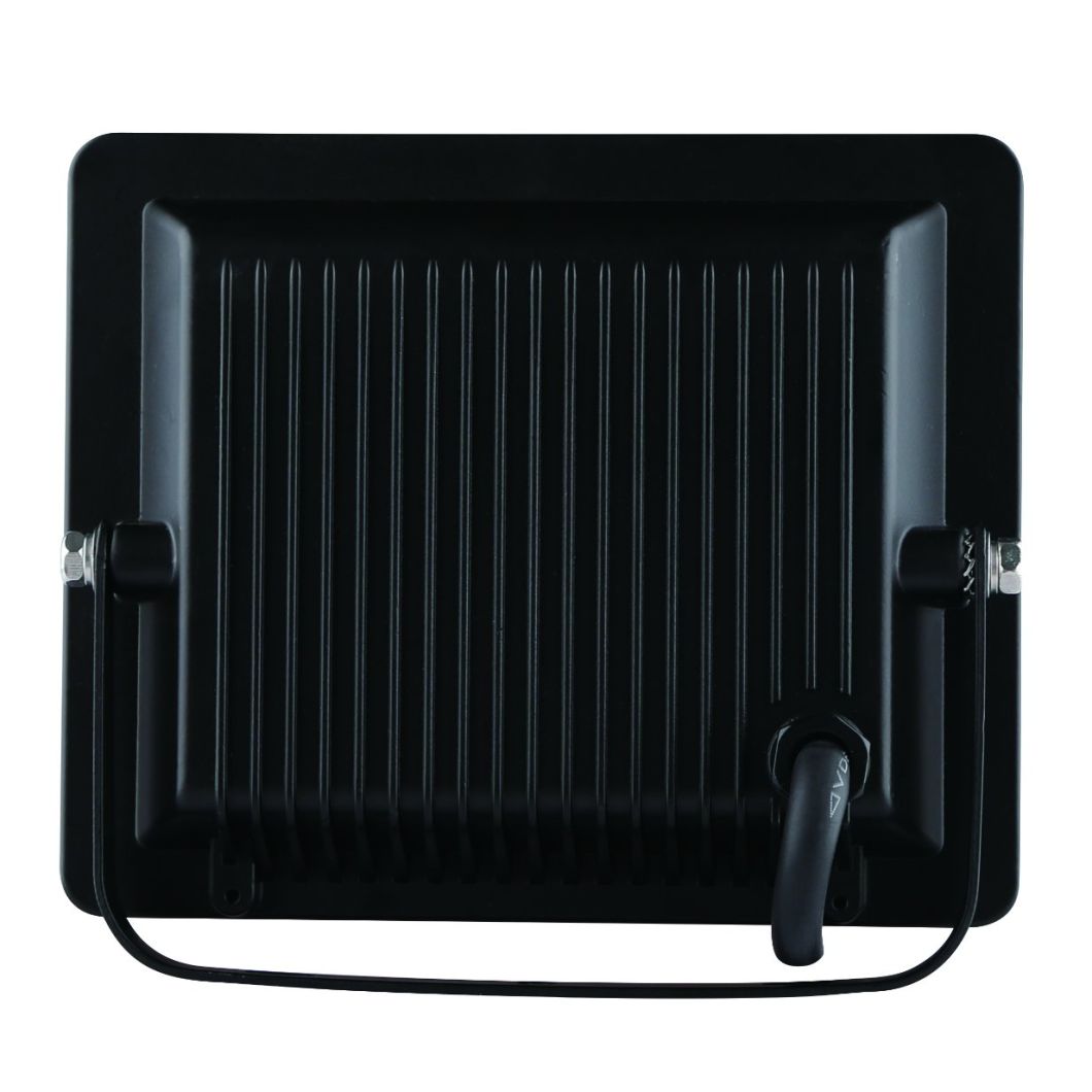 LED Floodlight