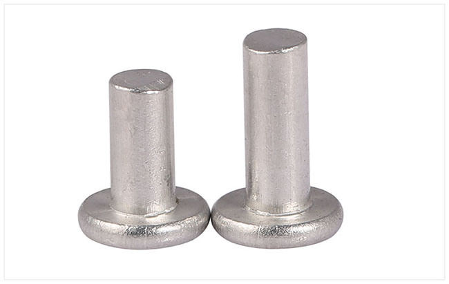 Flat Head Solid Tin Rivet Made with Aluminum