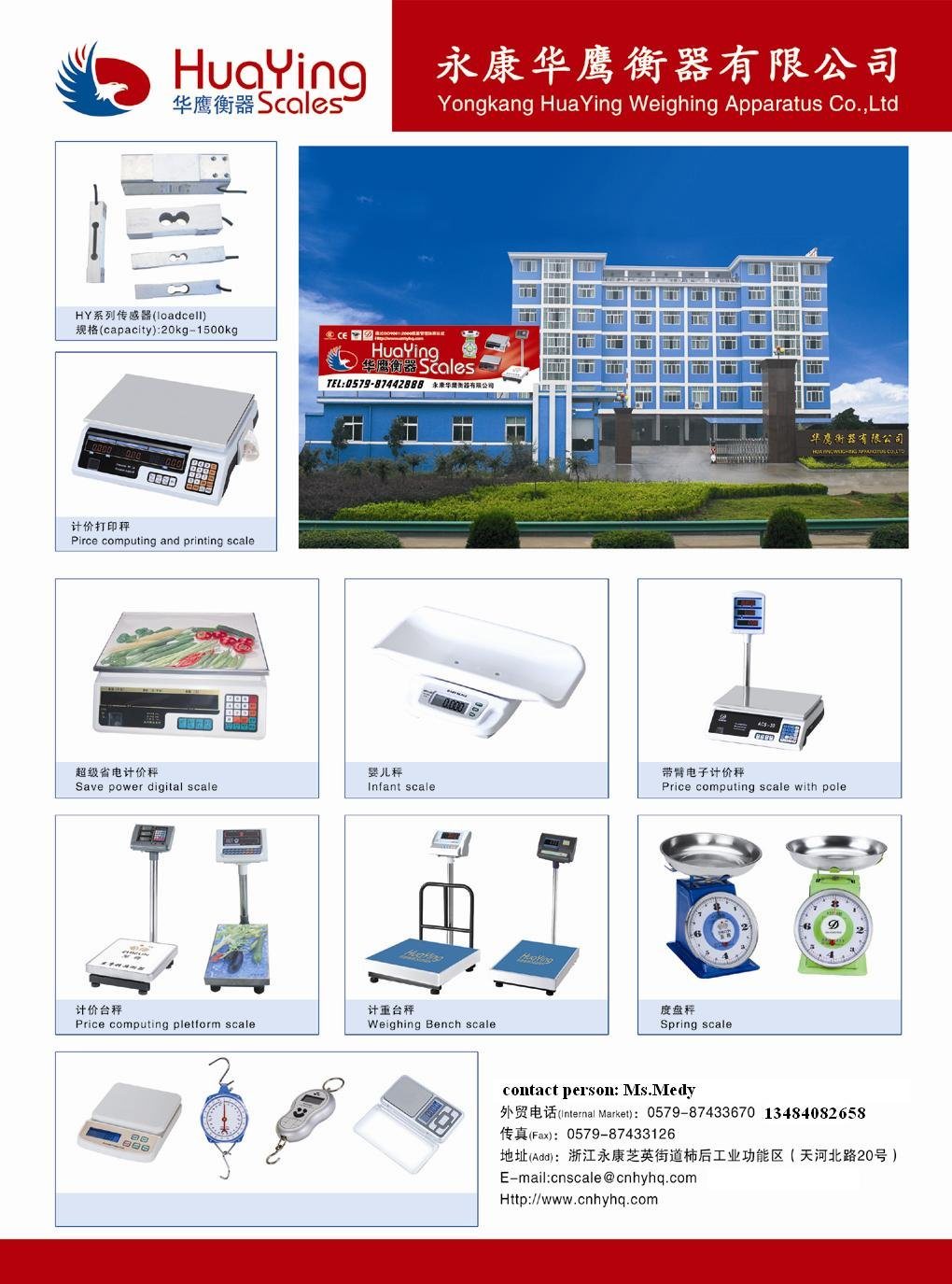 Professional Chinese Supplier Industrial Digital Electronic Scales