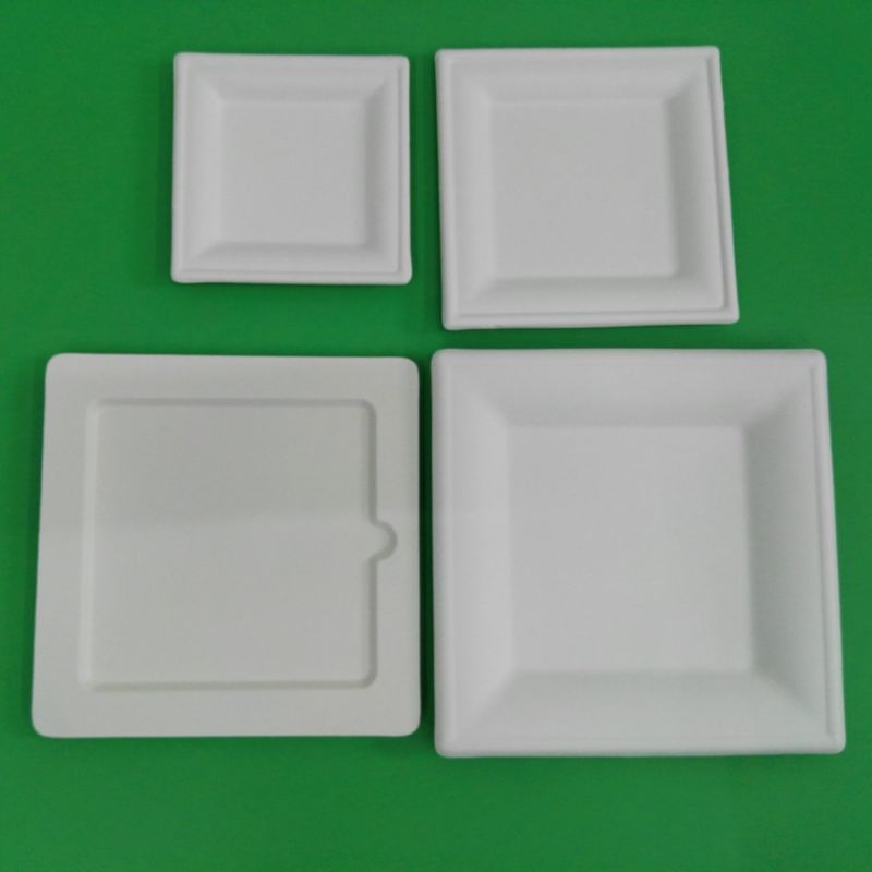 Disposable Sugarcane Pulp Paper Lunch Box, Paper Tableware